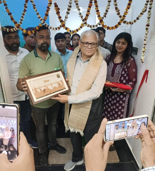 Untitled (500 × 550 px) (16)